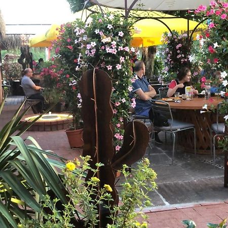 Zys Hotel Wettingen Ngoại thất bức ảnh